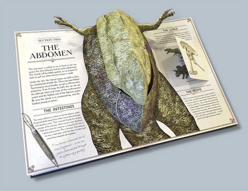 купить Tyrannosaurus rex: A Pop-Up Guide to Anatomy (Pop Up Book) в Кишинёве 