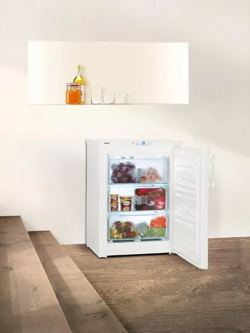 купить Морозильник Liebherr GNP 1066 в Кишинёве 