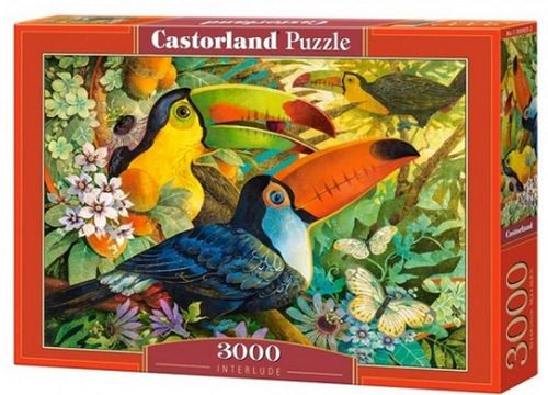 купить Головоломка Castorland Puzzle C-300433 Puzzle 3000 elemente в Кишинёве 