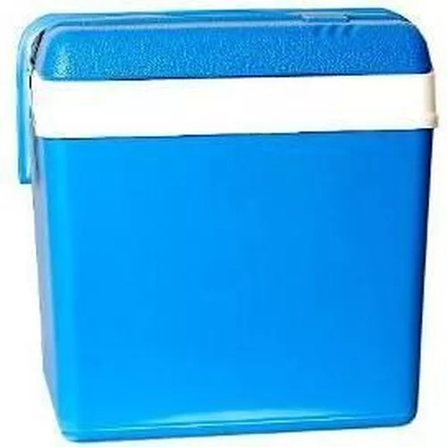 купить Сумка холодильник Magnum 08670, 24л в Кишинёве 