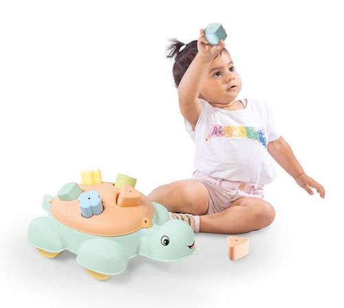 купить Головоломка Dolu 6116 Sorter Broasca Testoasa albastru, 61500 в Кишинёве 