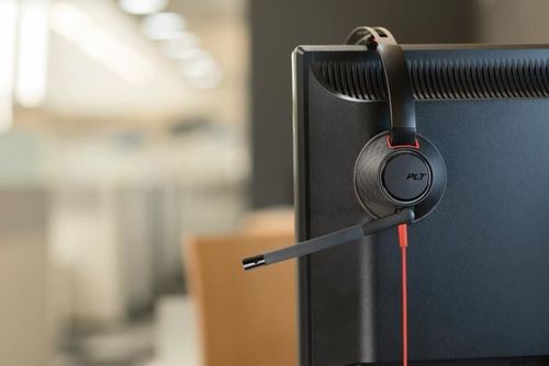 cumpără Căști pentru gaming Plantronics BLACKWIRE C5220 USB-A (PLC00227) în Chișinău 