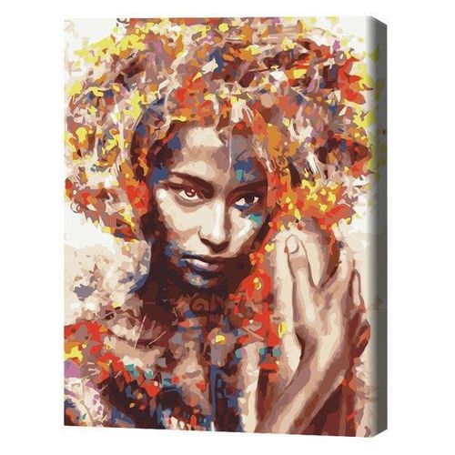 cumpără Tablou pe numere BrushMe BS51400 (în cutie) Necunoscuta în culori în Chișinău 