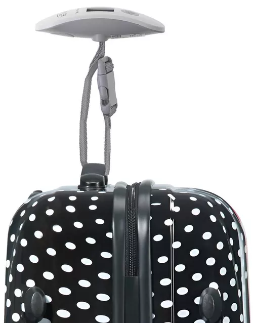 купить Весы багажные Adler AD 8189 white в Кишинёве 