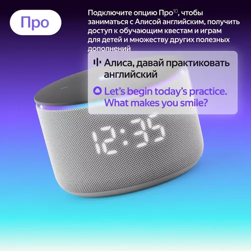 купить Колонка портативная Bluetooth Yandex YNDX-00059GRY Alisa Station Mini 3 Pro Grey в Кишинёве 