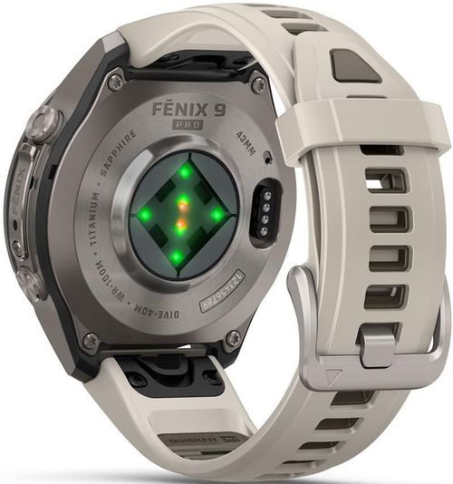 купить Смарт часы Garmin Fenix 9 Pro, 43mm,Ti, FogGry/DkSdsn band (010-04335-86) в Кишинёве 