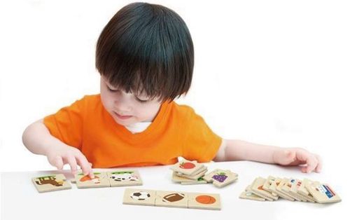 купить Головоломка Viga 51608 Categorizing Puzzle Set в Кишинёве 