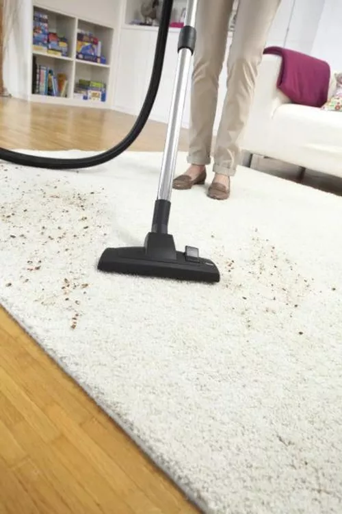 купить Пылесос с водяным фильтром Karcher DS 6 White + WV 1 PLUS White в Кишинёве 