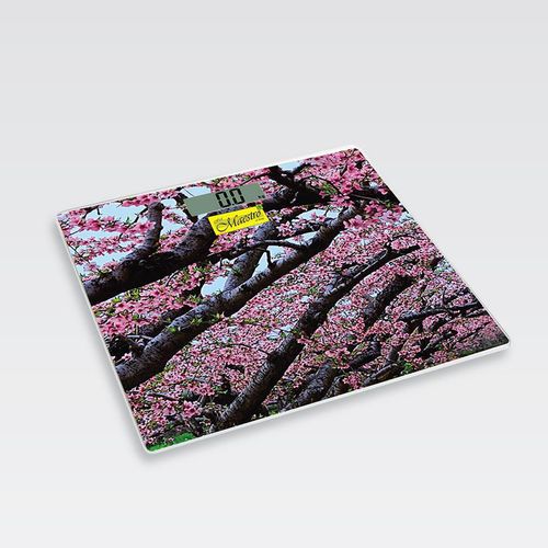 cumpără Cântar de podea Maestro MR-1823 în Chișinău 