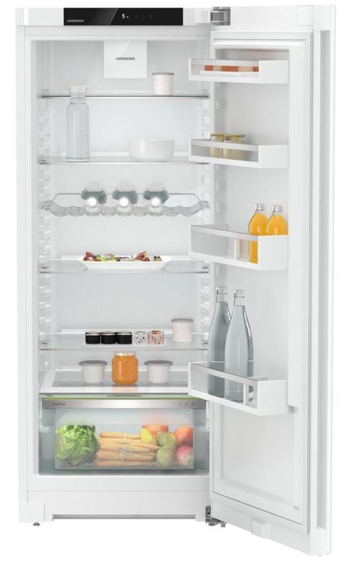 купить Холодильник однодверный Liebherr Re 4620 в Кишинёве 
