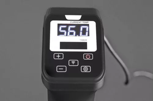 купить Аппарат для приготовления Sous Vide Caso SV1200 Pro Smart в Кишинёве 