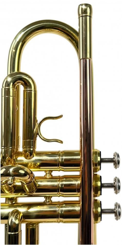 cumpără Instrument muzical de suflat Clifton Trompeta, 400335 în Chișinău 