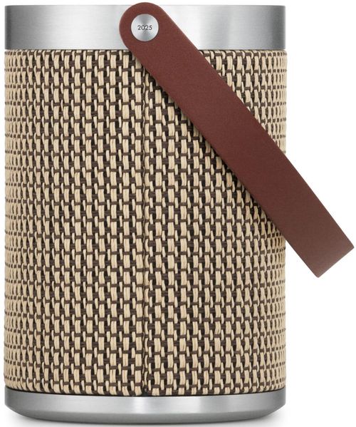 купить Колонка портативная Bluetooth Bang & Olufsen Beosound A5 Oak в Кишинёве 