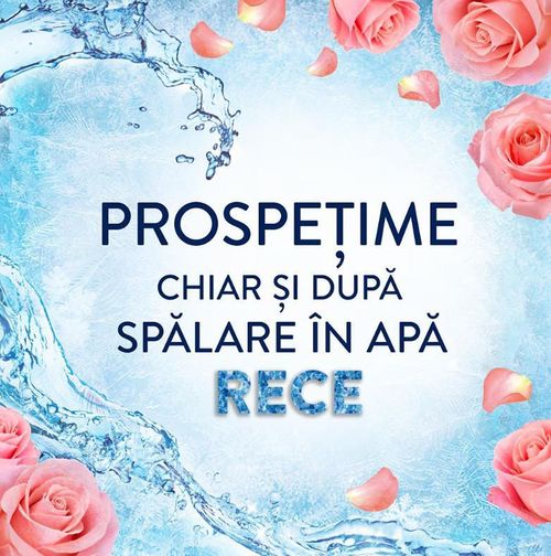 cumpără Balsam de rufe Lenor 0042 ROSE BOUQUET 71W în Chișinău 