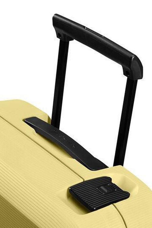 купить Чемодан Samsonite Magnum Eco (139845/1661) в Кишинёве 