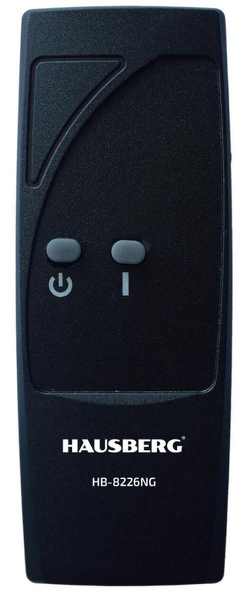 купить Камин электрический Hausberg HB-8226NG в Кишинёве 