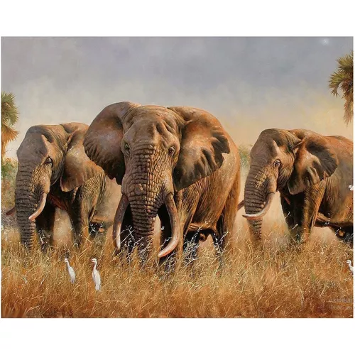 cumpără Tablou pe numere Strateg R18A / 7 (09200) Mozaic cu diamante 40x50 în Chișinău 