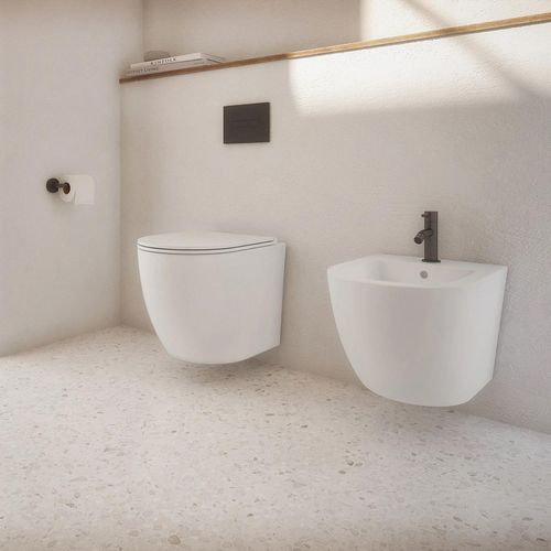 cumpără Baterie pentru bideu Omnires Baterie Y (Bideu) Brushed Graphite Y1220GR în Chișinău 
