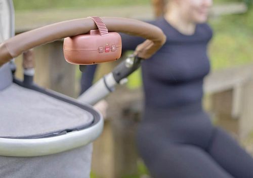 купить Аксессуар для колясок Zazu ROBBY the Rocker TERRA в Кишинёве 