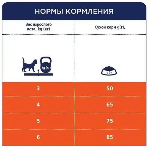 купить Корм для питомцев CLUB 4 PAWS 24230942 Sac pisici anti-par 14 kg в Кишинёве 