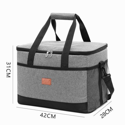 купить Сумка холодильник 4Life AT41 Lunch Bag в Кишинёве 