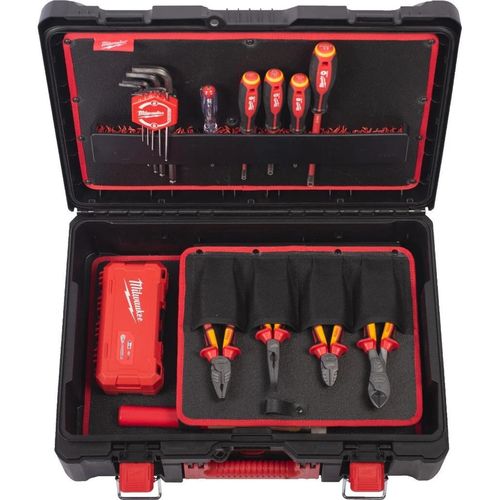 купить Набор ручных инструментов Milwaukee 4932499466 Set 62 piese packout pentru electricieni в Кишинёве 