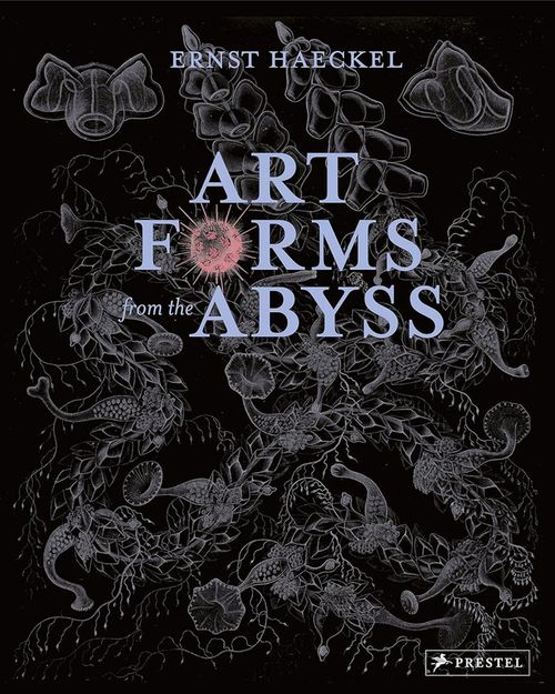 купить Art Forms from the Abyss: Ernst Haeckel's в Кишинёве 