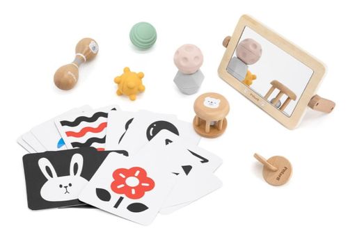 купить Игрушка Viga 44261 Set educativ Crește cu mine (0-6 luni) в Кишинёве 