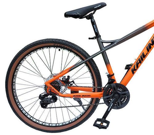 купить Велосипед miscellaneous MD-755 Kailinda в Кишинёве 