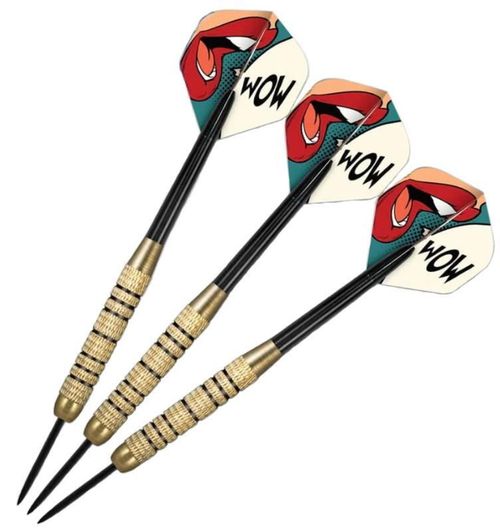 купить Игрушка inSPORTline 10049 Ac darts (3 buc.) SH-SOLO-11Insportline (18g) в Кишинёве 