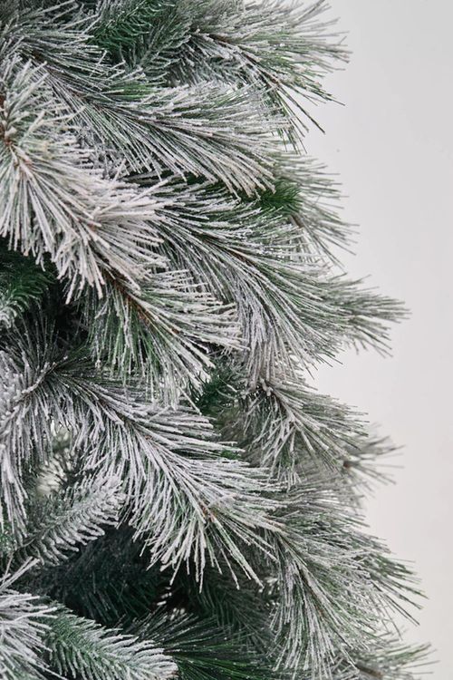 купить Декоративная ёлка Divi Trees Sierra Snow 2,4 в Кишинёве 