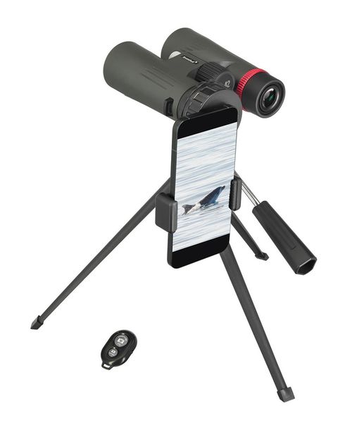 cumpără Binoclu Levenhuk Kelvin Snap 10x42 Photobinoculars în Chișinău 