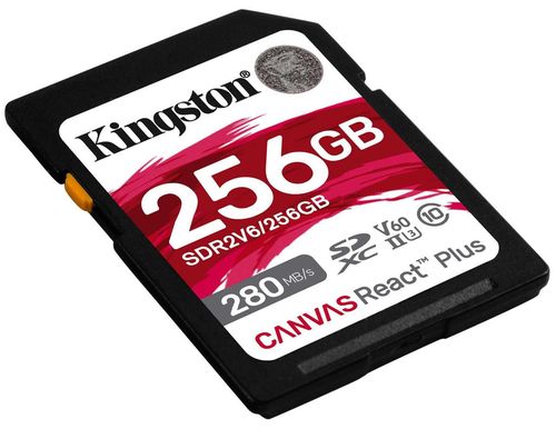 cumpără Card de memorie flash Kingston SDR2V6/256GB în Chișinău 