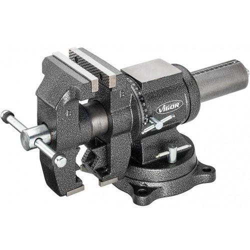 купить Тиски Vigor V6150N, многофункциональные, поворотные 360° в Кишинёве 