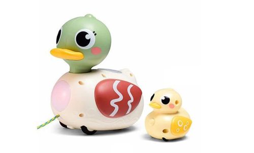 купить Музыкальная игрушка Hola Toys HE9976 Уточки музыкальные в Кишинёве 