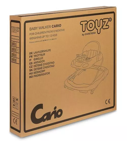 cumpără Premergător Kikka Boo 31005030109 Premergator Car Mint 2024 în Chișinău 