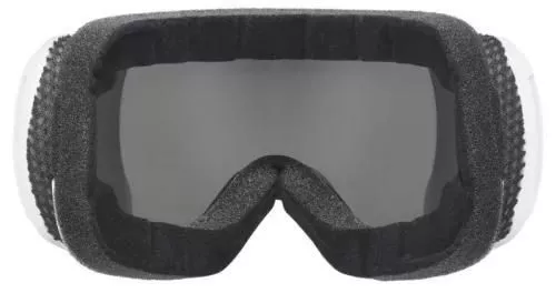 cumpără Ochelari de protecție Uvex Downhill 2100 VPX white dl/VaP în Chișinău 