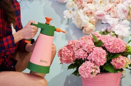 cumpără Aparat de stropit Kwazar WOV.2057 Venus Super 360 V-1.5 Garden Pro Feeria Magnolia în Chișinău 