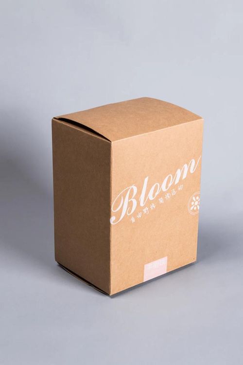 cumpără Minge LiveUp LB7050/WH Balance Ball în Chișinău 