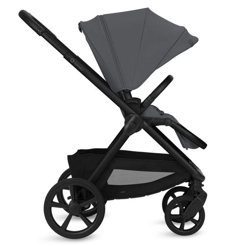 купить Детская коляска Lionelo Carucior 2in1 Carmine Grey Stone в Кишинёве 
