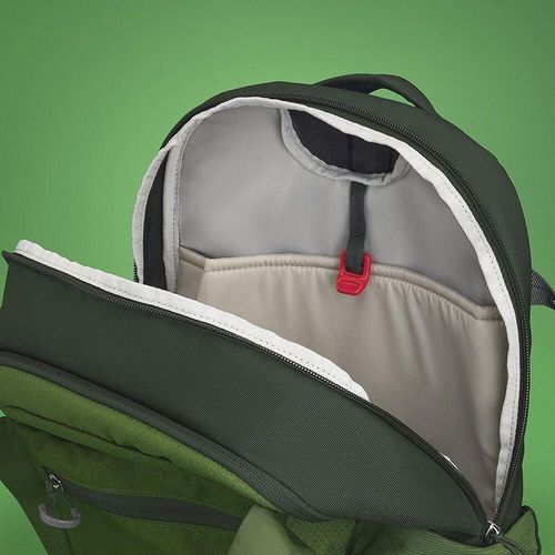 cumpără Rucsac sportiv Osprey Daylite Plus Green Belt/Green Canopy (843820185485) în Chișinău 