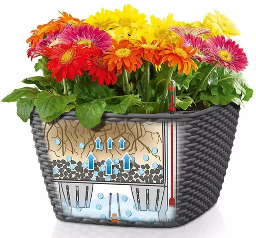 cumpără Ghiveci pentru flori Lechuza Bacino Cottage, Mocha în Chișinău 