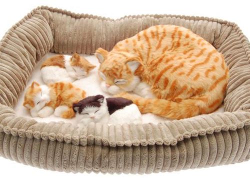 купить Игрушка Perfect Petzzz 92-17 Jucărie interactivă Pisica cu trei pisicuțe в Кишинёве 