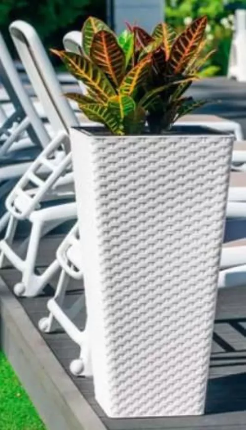 cumpără Ghiveci pentru flori Form Plastic 3910-011 Rattana Slim 75 cm, alb în Chișinău 