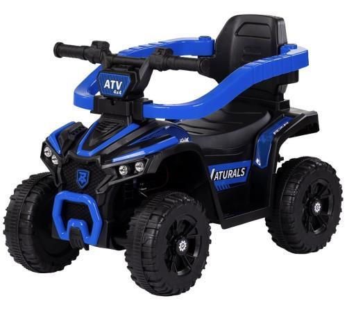 купить Толокар Chipolino ROCATVH02504BL ATV с ручкой blue в Кишинёве 