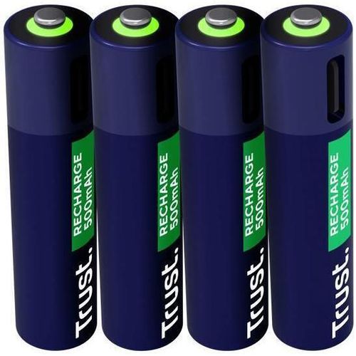 купить Аккумулятор Trust TR25671 USB-C Rechargeable Battery AA A 500 mAh, 4 Pack в Кишинёве 