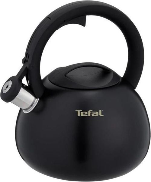 купить Чайник Tefal N4180410 Duetto+ 2,5l в Кишинёве 