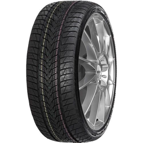 cumpără Anvelopă Tristar 205/55 R16 91H SNOWPOWER UHP în Chișinău 