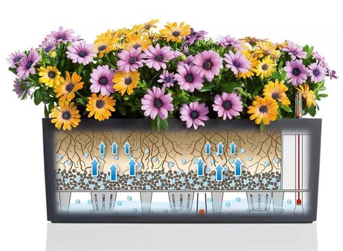 cumpără Ghiveci pentru flori Lechuza Balconera Color 50, Vanilla în Chișinău 