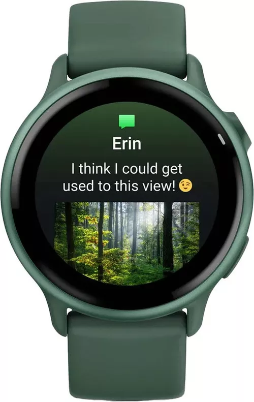 купить Смарт часы Garmin Vivoactive 6 Jasper Green / Jasper Green Metallic в Кишинёве 